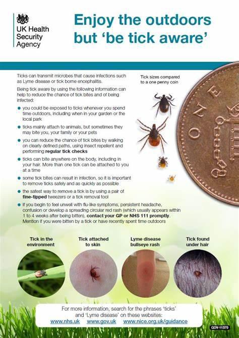 Photo for LYMES DISEASE